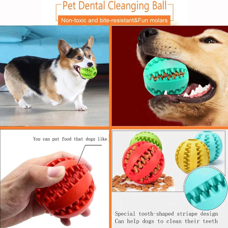 Dog Tooth Cleaning Ball Treat Feeder