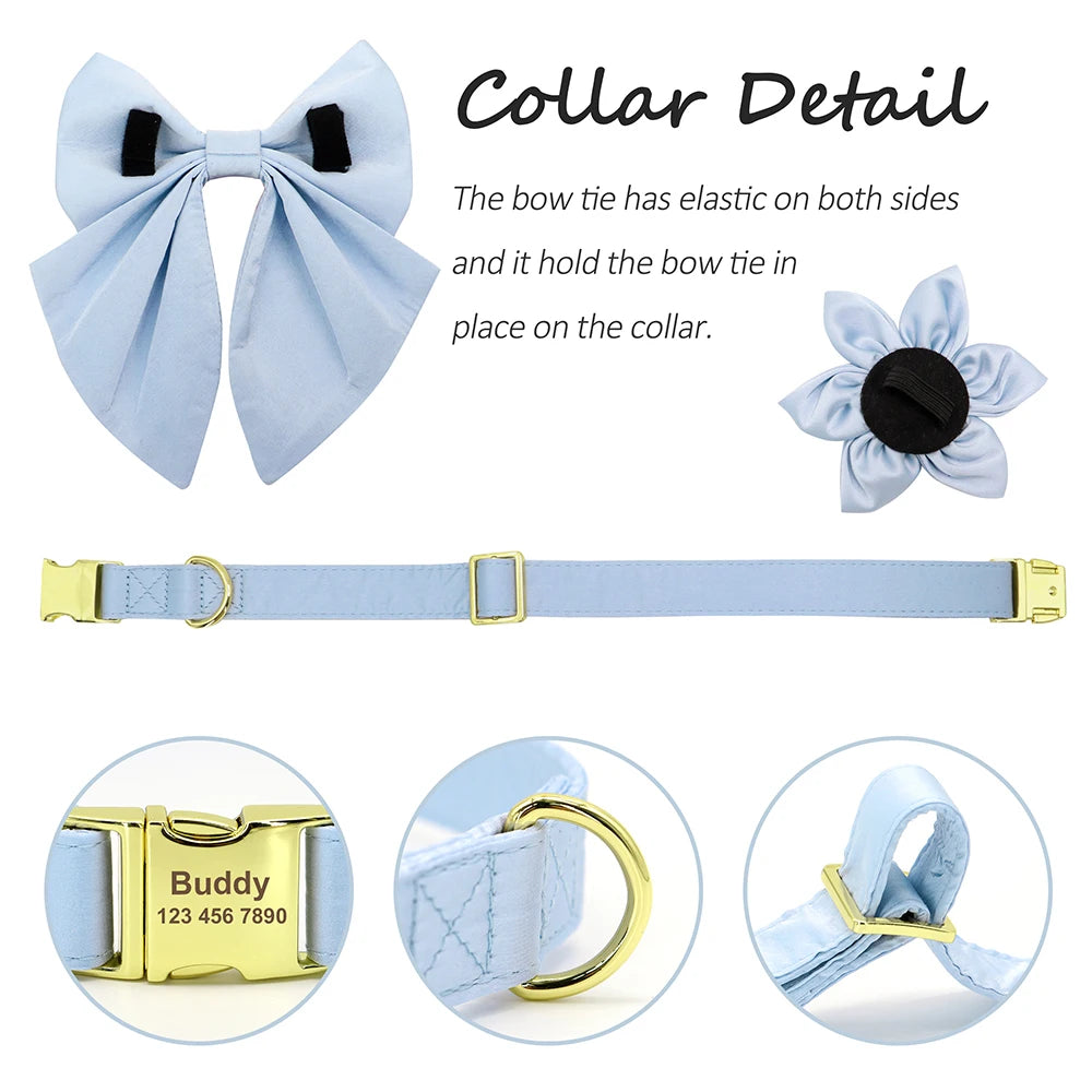 Pawsonalized Dog ID Collar Set 5 colors