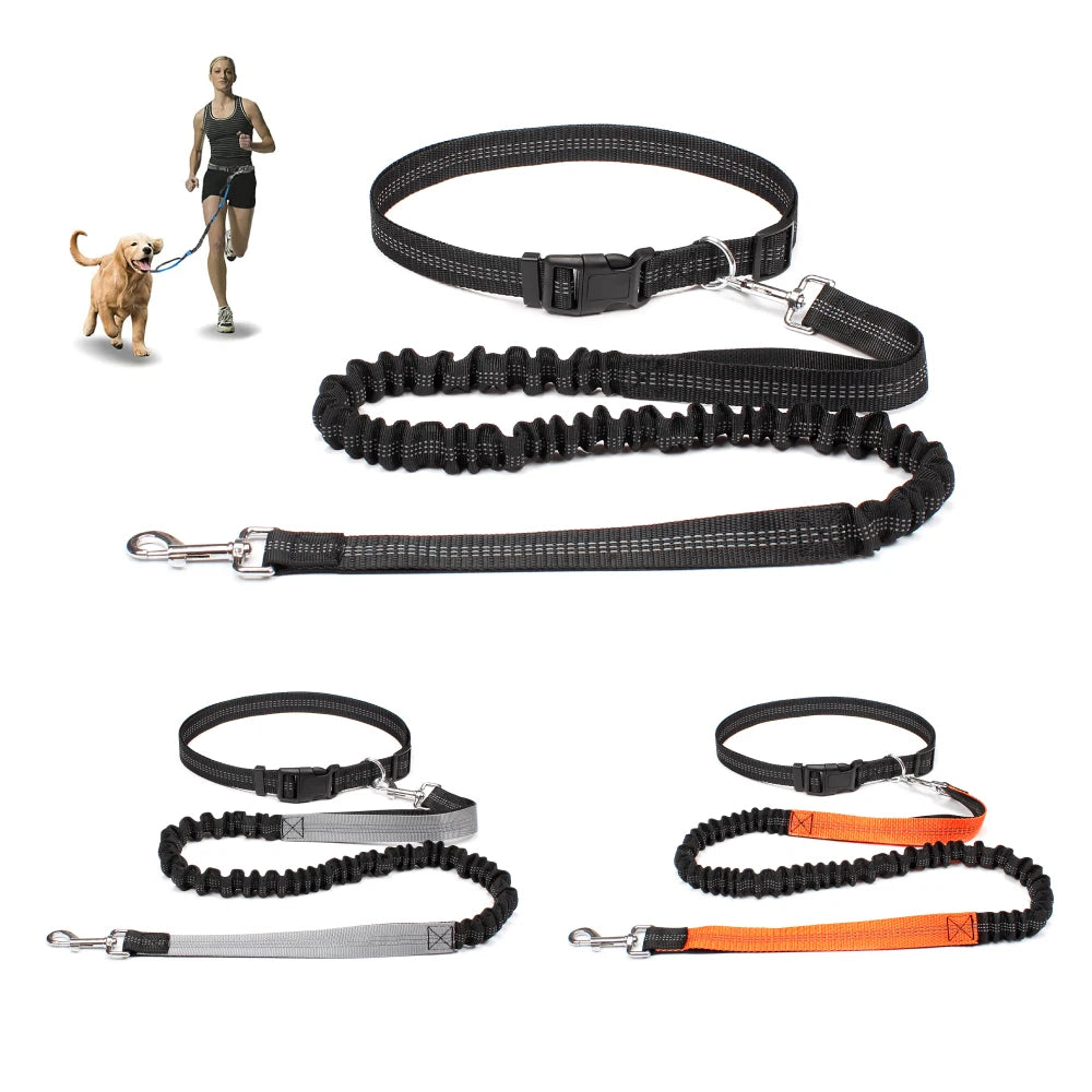 Hands Free Dog Leash