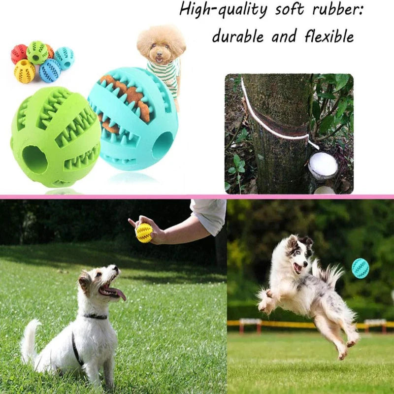 Dog Tooth Cleaning Ball Treat Feeder