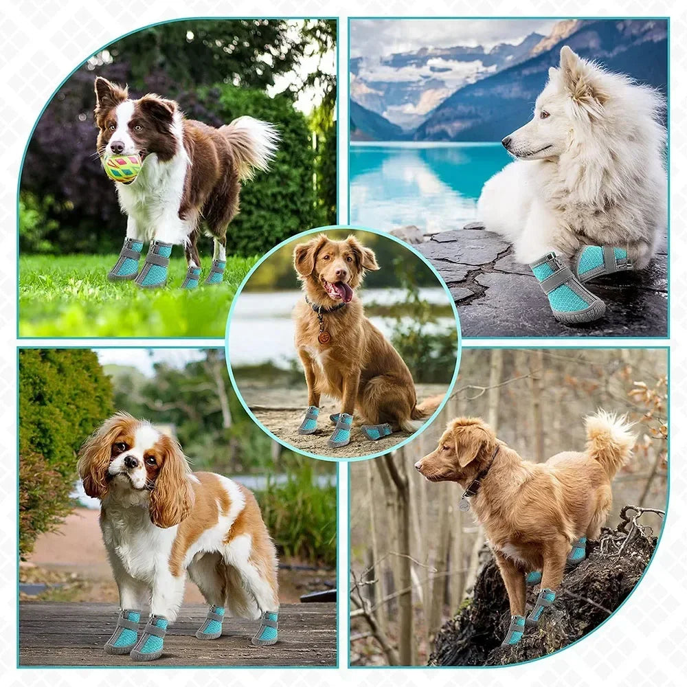 Dog Shoes Anti-slip/Breathable