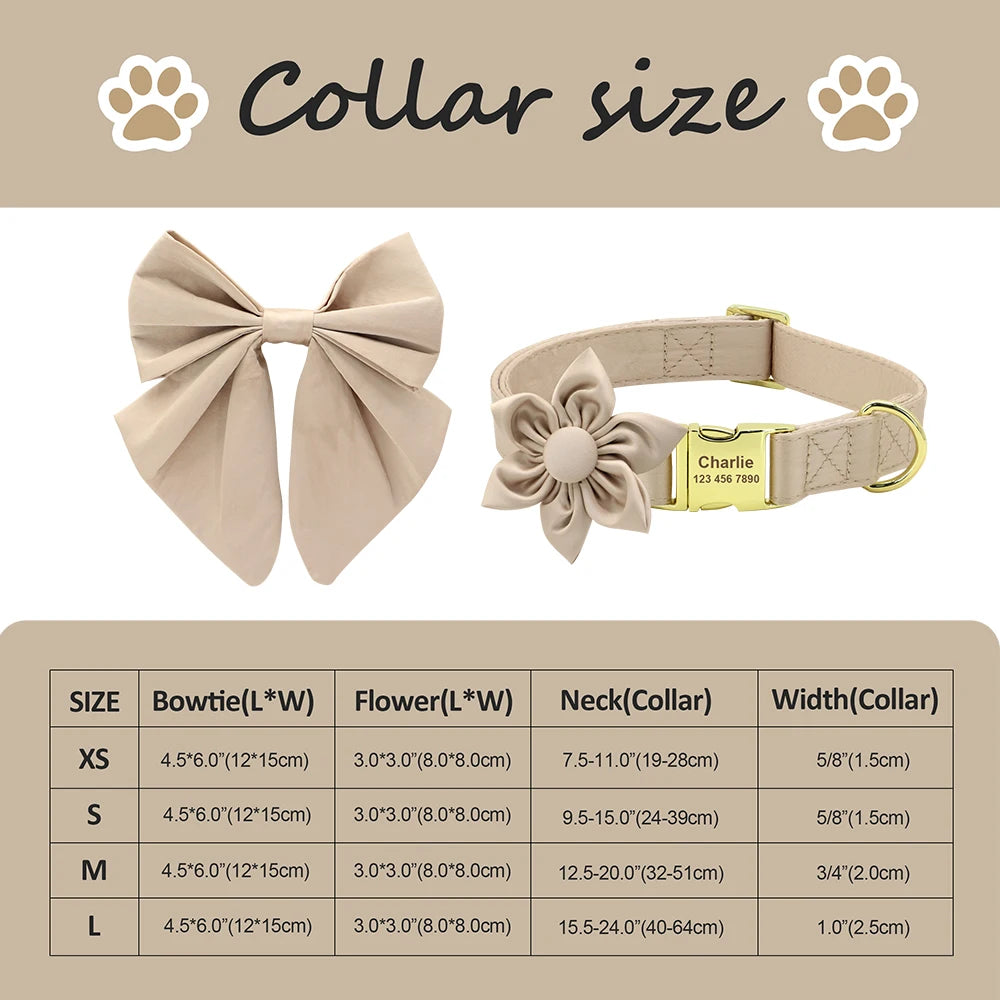 Pawsonalized Dog ID Collar Set 5 colors